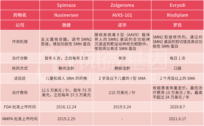 已获批上市的SMA药物信息_阅微基因