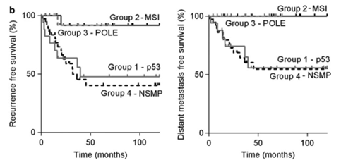 子宫内膜癌高风险患者无复发和无远处转移的生存率_子宫内膜癌的分子分型_阅微基因